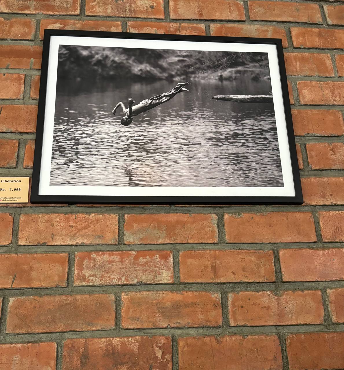 Framed black-and-white photograph of a person diving backward into a lake, mounted on a brick wall